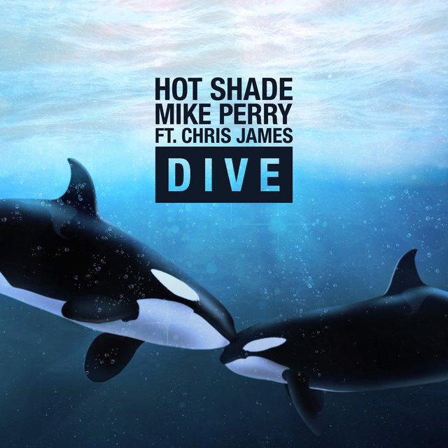 Dive track cover